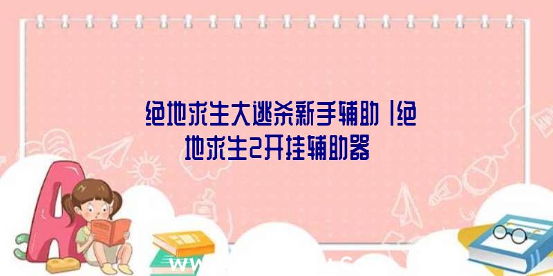 「绝地求生大逃杀新手辅助」|绝地求生2开挂辅助器